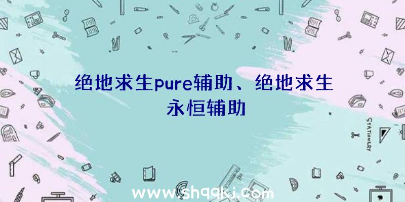 绝地求生pure辅助、绝地求生